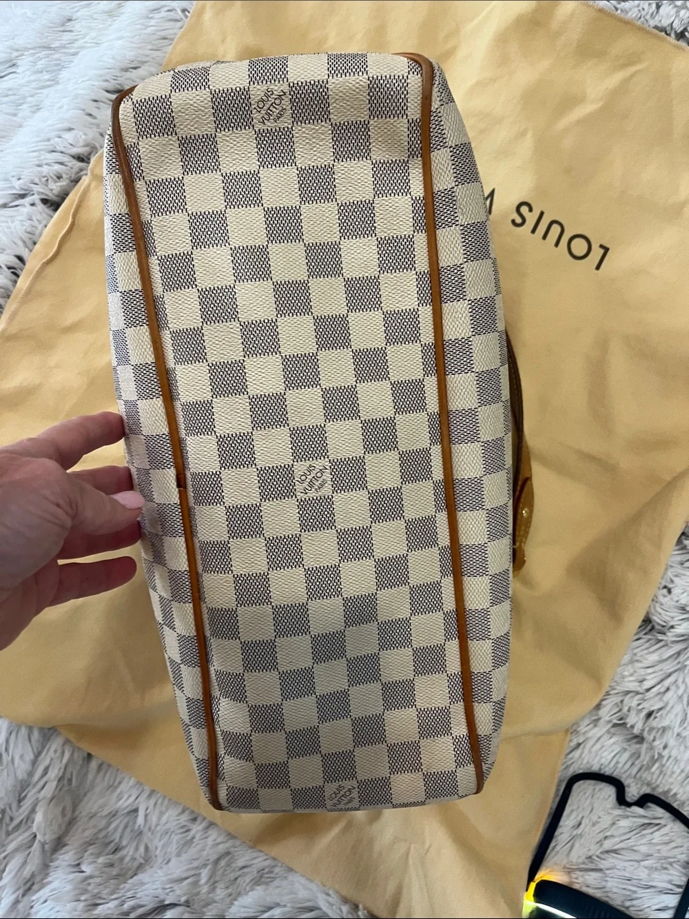 Louis Vuitton classic louis